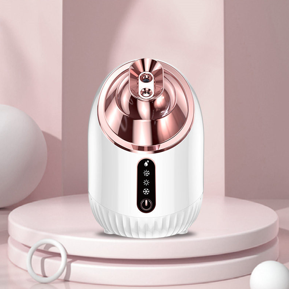 Vaporisateur facial à vapeur f - Face Steamer avis et prix