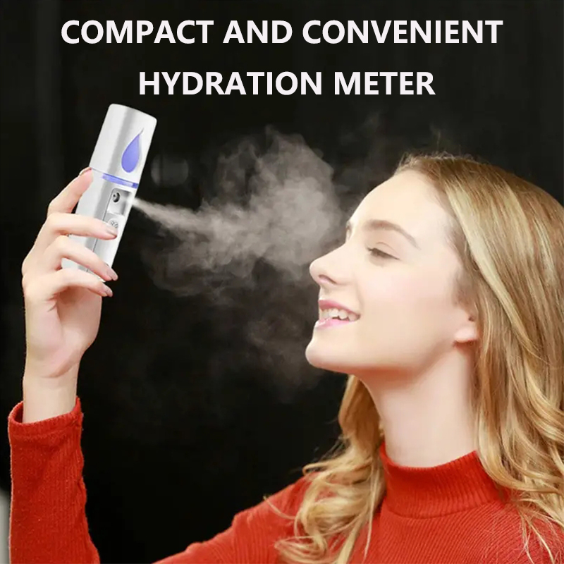 Mini Nano visage monsieur visa - Face Steamer avis et prix